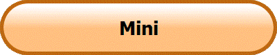 Euromini