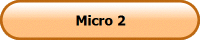 Micro 2