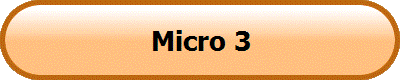 Micro 3