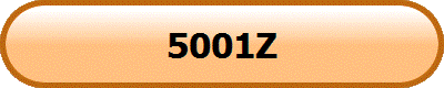 5001Z